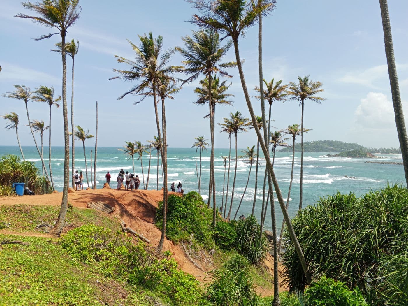 Palms leaning over the surf on Sri Lanka's south coast