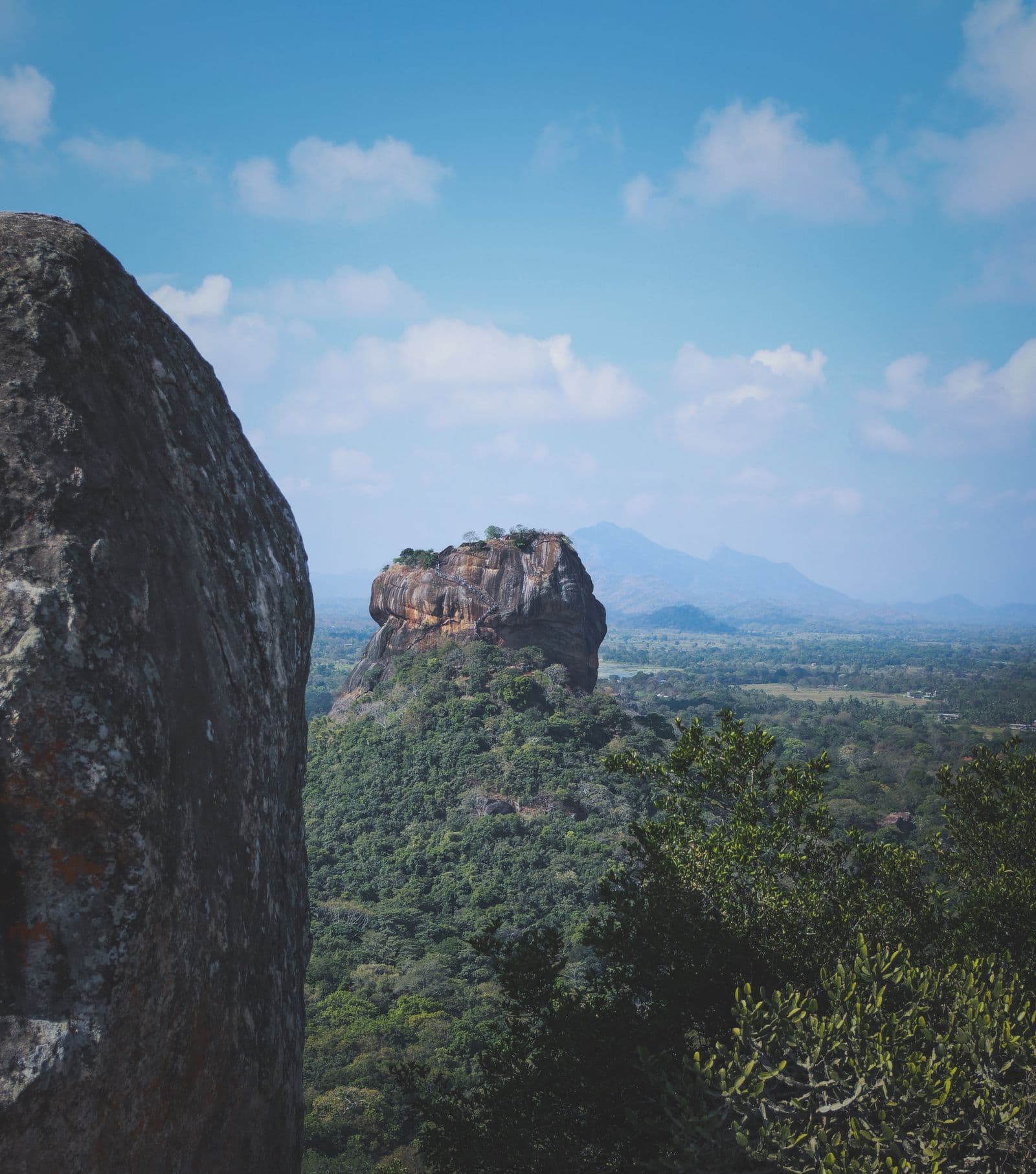 Sigiriya Rock Fortress rising out of the surrounding forest at first light